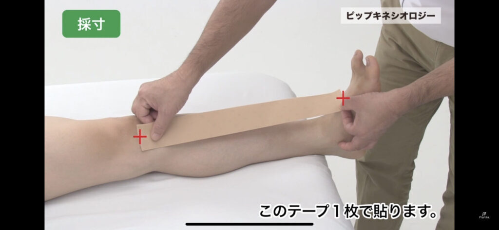 足の甲の少し親指側から、すねの内側を通り、膝下までの長さにテープを切ります。